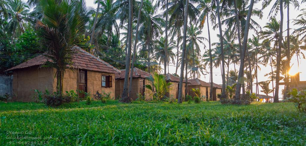 Sunway Cottages Mandrem Dış mekan fotoğraf